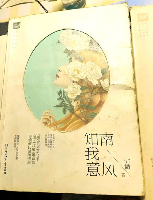 南風(fēng)資本，南風(fēng)集團(tuán)